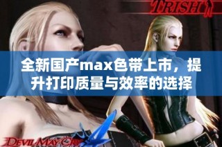 全新国产max色带上市，提升打印质量与效率的选择