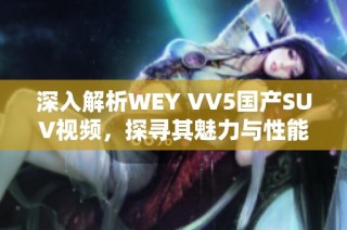 深入解析WEY VV5国产SUV视频，探寻其魅力与性能特点