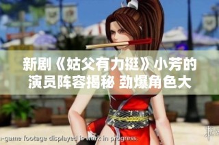 新剧《姑父有力挺》小芳的演员阵容揭秘 劲爆角色大赏