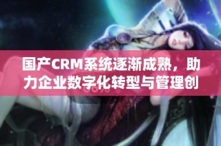 国产CRM系统逐渐成熟，助力企业数字化转型与管理创新