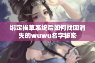 绑定挨草系统后如何找回消失的wuwu名字秘密