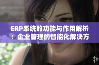 ERP系统的功能与作用解析：企业管理的智能化解决方案