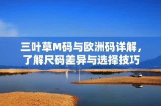 三叶草M码与欧洲码详解，了解尺码差异与选择技巧