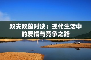 双夫双雄对决：现代生活中的爱情与竞争之路