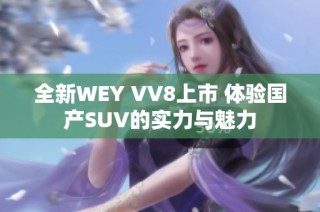 全新WEY VV8上市 体验国产SUV的实力与魅力