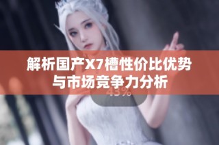 解析国产X7槽性价比优势与市场竞争力分析