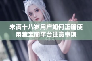 未满十八岁用户如何正确使用藏宝阁平台注意事项