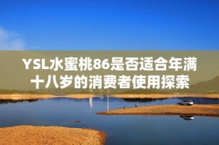 YSL水蜜桃86是否适合年满十八岁的消费者使用探索
