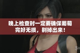 晚上检查时一定要确保葡萄完好无损，别掉出来！