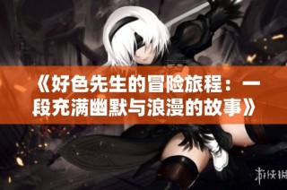 《好色先生的冒险旅程：一段充满幽默与浪漫的故事》