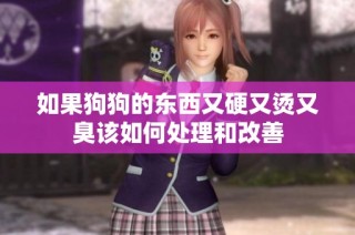 如果狗狗的东西又硬又烫又臭该如何处理和改善