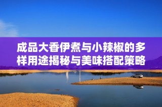 成品大香伊煮与小辣椒的多样用途揭秘与美味搭配策略
