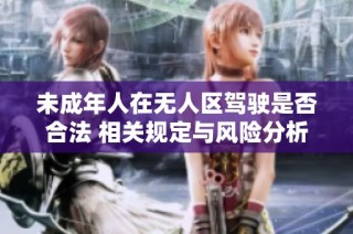 未成年人在无人区驾驶是否合法 相关规定与风险分析