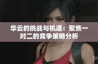 华云的挑战与机遇：聚焦一对二的竞争策略分析
