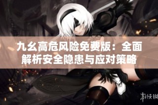 九幺高危风险免费版：全面解析安全隐患与应对策略