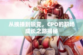 从挨揍到蜕变，CPO的职场成长之路揭秘