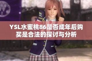YSL水蜜桃86是否成年后购买是合法的探讨与分析