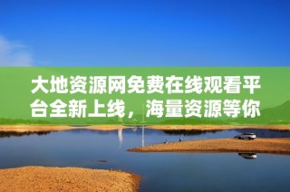 大地资源网免费在线观看平台全新上线，海量资源等你来探索