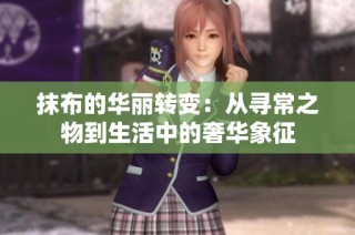 抹布的华丽转变：从寻常之物到生活中的奢华象征