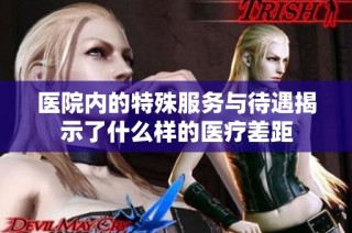 医院内的特殊服务与待遇揭示了什么样的医疗差距