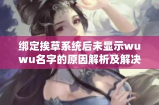 绑定挨草系统后未显示wuwu名字的原因解析及解决方案