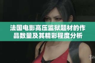 法国电影高压监狱题材的作品数量及其精彩程度分析