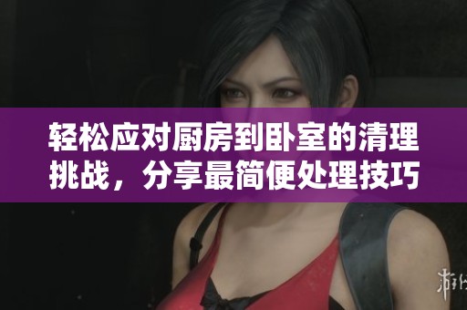 轻松应对厨房到卧室的清理挑战，分享最简便处理技巧
