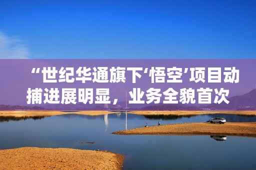 “世纪华通旗下‘悟空’项目动捕进展明显，业务全貌首次揭晓”