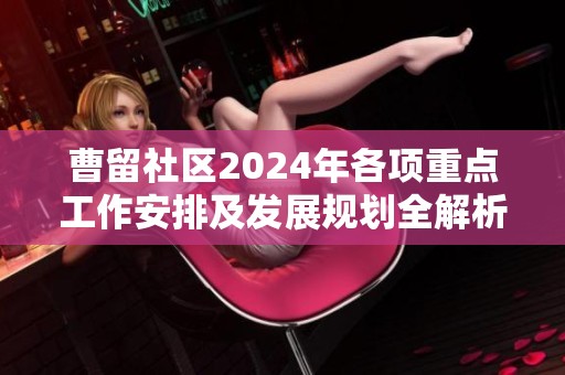 曹留社区2024年各项重点工作安排及发展规划全解析
