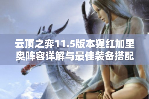 云顶之弈11.5版本猩红加里奥阵容详解与最佳装备搭配策略