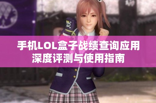 手机LOL盒子战绩查询应用深度评测与使用指南