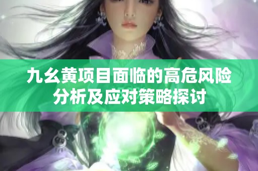 九幺黄项目面临的高危风险分析及应对策略探讨