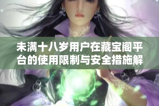 未满十八岁用户在藏宝阁平台的使用限制与安全措施解析