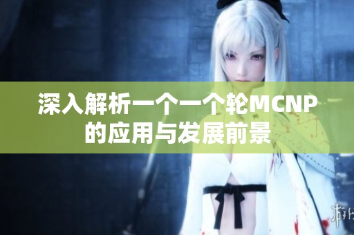 深入解析一个一个轮MCNP的应用与发展前景