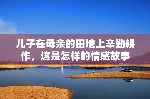 儿子在母亲的田地上辛勤耕作，这是怎样的情感故事