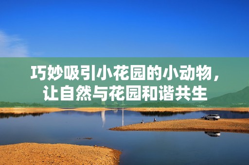 巧妙吸引小花园的小动物，让自然与花园和谐共生