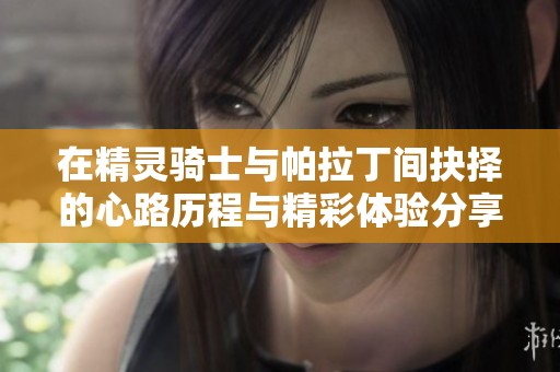 在精灵骑士与帕拉丁间抉择的心路历程与精彩体验分享