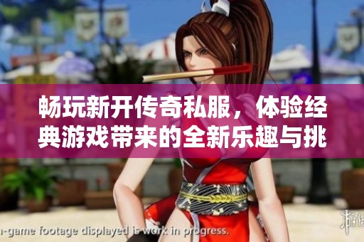 畅玩新开传奇私服，体验经典游戏带来的全新乐趣与挑战