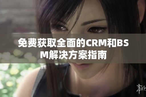 免费获取全面的CRM和BSM解决方案指南
