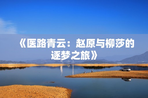 《医路青云：赵原与柳莎的逐梦之旅》
