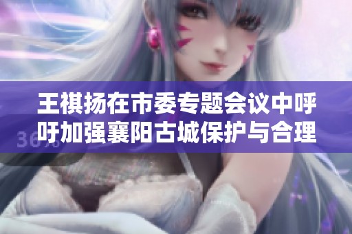 王祺扬在市委专题会议中呼吁加强襄阳古城保护与合理利用