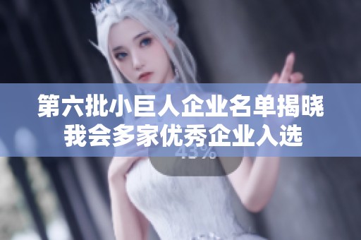 第六批小巨人企业名单揭晓 我会多家优秀企业入选