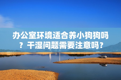办公室环境适合养小狗狗吗？干湿问题需要注意吗？