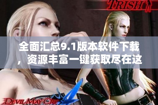 全面汇总9.1版本软件下载，资源丰富一键获取尽在这里