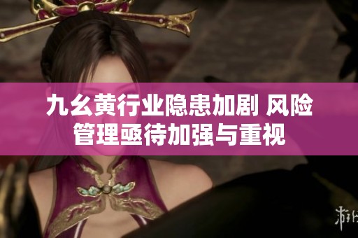 九幺黄行业隐患加剧 风险管理亟待加强与重视