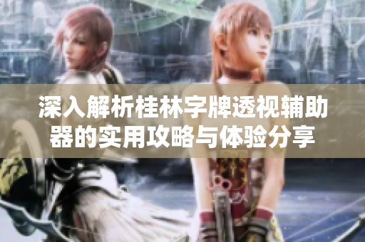 深入解析桂林字牌透视辅助器的实用攻略与体验分享