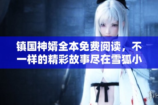 镇国神婿全本免费阅读，不一样的精彩故事尽在雪狐小说网
