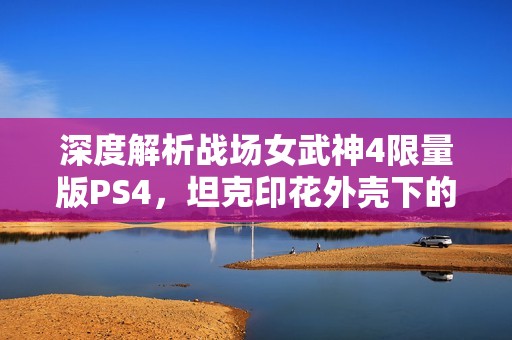 深度解析战场女武神4限量版PS4，坦克印花外壳下的浪漫气息