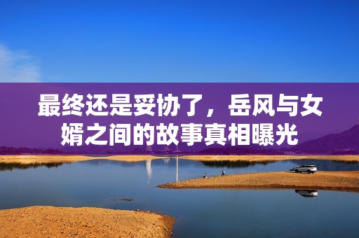 最终还是妥协了，岳风与女婿之间的故事真相曝光