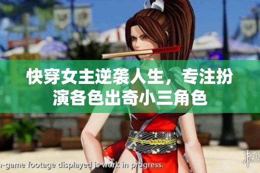 快穿女主逆袭人生，专注扮演各色出奇小三角色